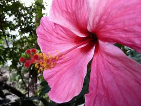 Nice View Bungalow Koh Chang Exterior foto